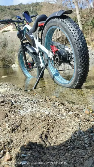 A white, blue and black Duotts N26 electric bike seen from behind with a forest in the background